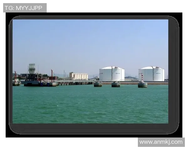 青年赛特别报道：LNG如何在转型中迎接未来挑战与机遇